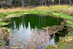 atlin-Kelsey-Fraser-1