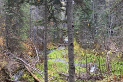 atlin-Kelsey-Fraser-2