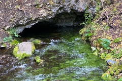 atlin-Kelsey-Fraser-3