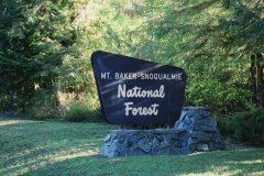 Baker-hot-springs-perksofbeinga_wildflower-4