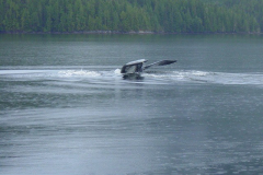 Bishop-Bay-Hot-Springs-13