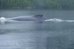 Bishop-Bay-Hot-Springs12-1