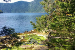 PSX_20211011_234443-scaled