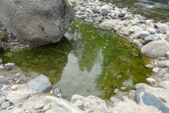 Buhl-Creek-Hot-Springs