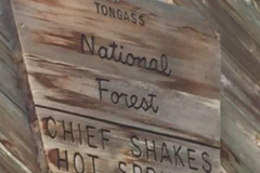 Chief-Shakes-Hot-Springs-2