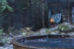 Clear-Creek-@serenityroselawlor-1