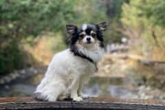 Clear-Creek-Hot-Springs-@heather.painchaud-3