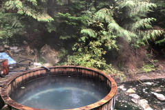 Clear-Creek-Hot-Springs-Taylor-Johnson-4-1