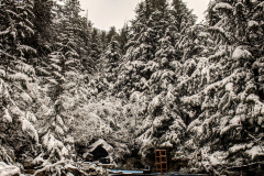 clear-creek-user-adanac-web-4