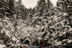 clear-creek-user-adanac.design-1-1-scaled