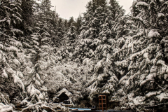 clear-creek-user-adanac.design-1-scaled