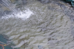 Crawford-Creek-Warm-Springs-12-scaled