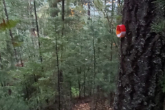 Crawford-Creek-Warm-Springs-2-scaled