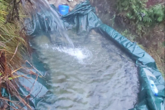 Crawford-Creek-Warm-Springs-7-scaled-e1636270396838