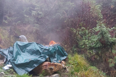 Crawford-Creek-Warm-Springs-8-scaled