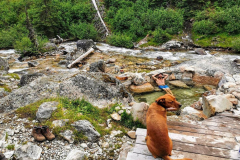 Dewar-creek-hot-springs-2