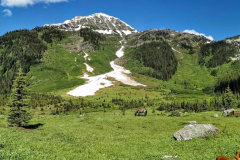 Dewar-creek-hot-springs