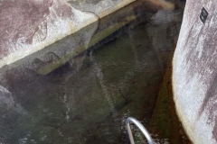 Eucott-Bay-Hot-Springs5