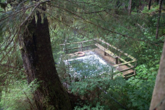 Frizzell-Hot-Springs-3-e1617579672582