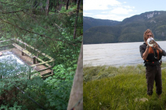 Frizzell-Hot-Springs-3