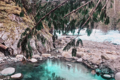 Photo By Lisa Nicole