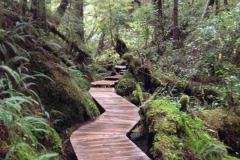 hotspring-cove5-e1617312315701