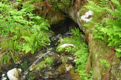 Klelane-Hot-Springs-4