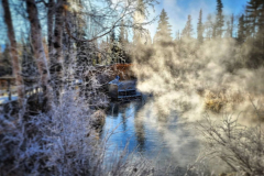 Liard-Hpot-Springs-2-@x.capture.that_