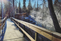 Liard-Hpot-Springs-3-@x.capture.that_