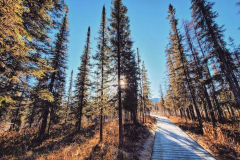 Liard-Hpot-Springs-5-@x.capture.that_