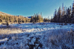 Liard-Hpot-Springs-7-@x.capture.that_