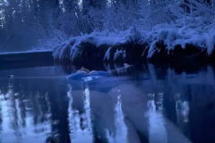 Liard-hot-Springs-2-@Charlott-Starrs-