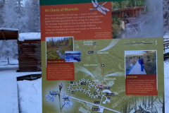 Liard-hot-Springs-3-@Charlotte-Starrs-