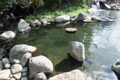 Meager-Creek-Hot-Springs-77