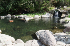 Meager-Creek-Hot-Springs