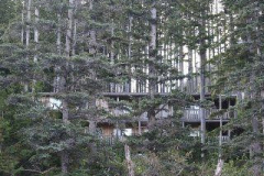 Nascall-Hot-Springs-5