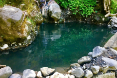 Olympic-Hot-Springs-2