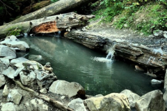 Olympic-Hot-Springs-5