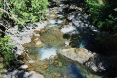 Olympic-Hot-Springs-perksofbeinga_wildflower-2