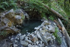 Olympic-Hot-Springs-perksofbeinga_wildflower-3