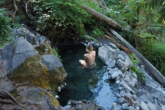 Olympic-Hot-Springs-perksofbeinga_wildflower-8