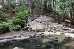 st-leon-sage_gladiuk-2