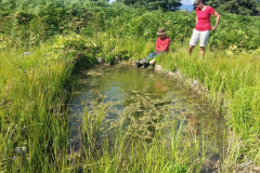Tchentlo-Lake-Warm-Springs-4