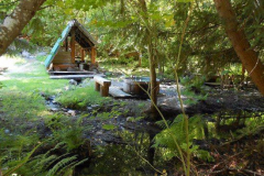 tsek-hot-springs-tub