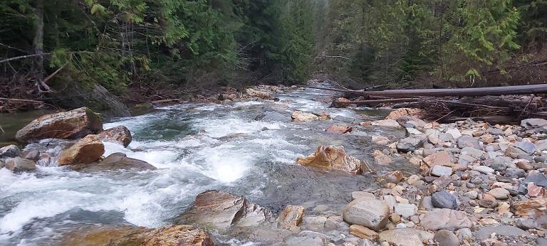 Crawford Creek Warm Springs