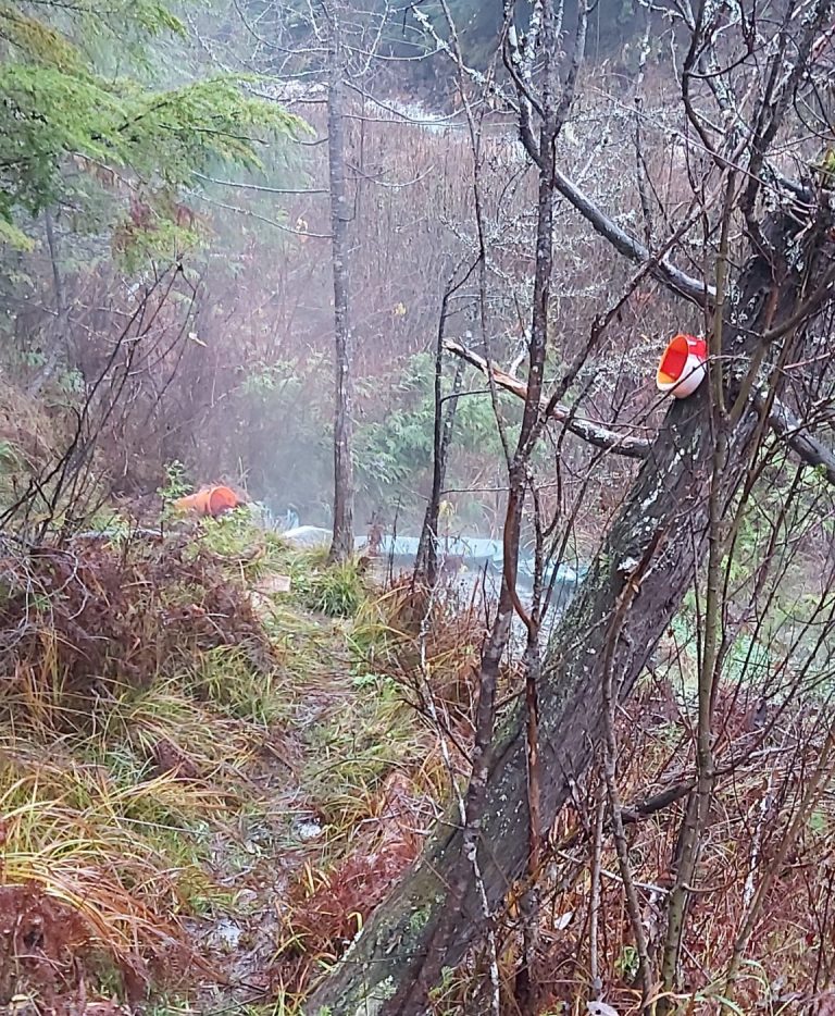 Crawford Creek Warm Springs