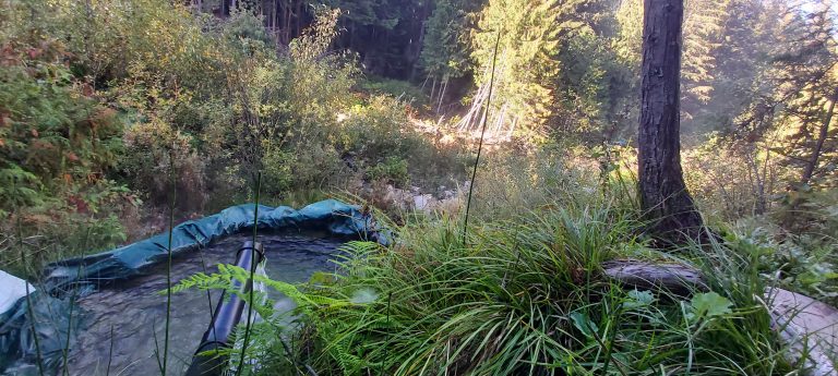 Crawford Creek Warm Springs